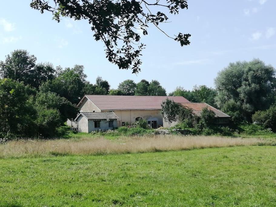 Studio Aux Granges Du Vilaret Daire Clairvaux-les-Lacs Dış mekan fotoğraf